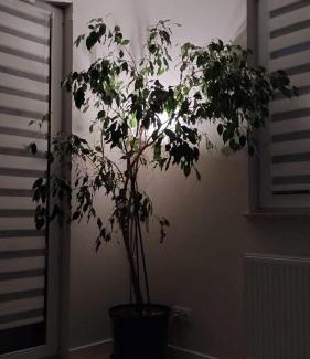 Lesznowola Apartment | Apartament Zielone Zamienie