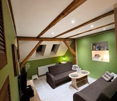 Sokołowsko Apartment | Apartament Zielony Zakątek
