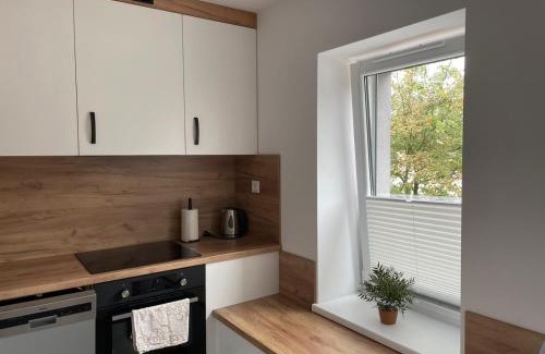 Zabrze Apartment | Apartament Zoya
