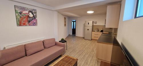 Dragasani Apartment | Apartamente Dragasani