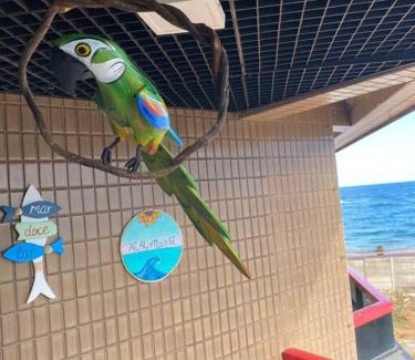 Pituba Apartment | Apartamento à beira mar em Salvador