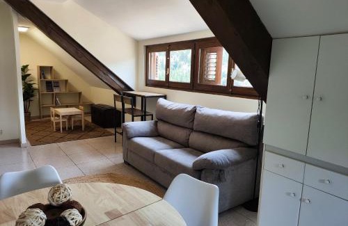 Isaba Apartment | Apartamento ático Belabarce