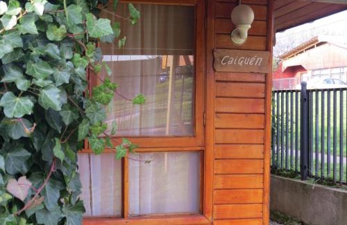 Coyhaique House | Apartamento Bordeluna