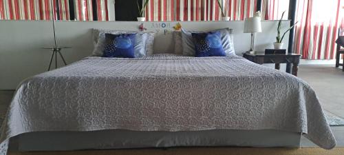 Heredia Apartment | Apartamento Céntrico con Vista