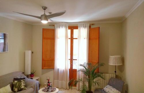 El Botanic Apartment | Apartamento céntrico Torres de Quart.