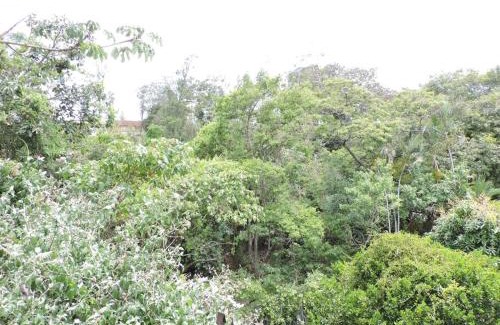 Ciudad Cariari Apartment | Apartamento Centro Convenciones Costa Rica