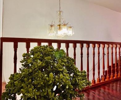 La Estrella Apartment | Apartamento Colonial