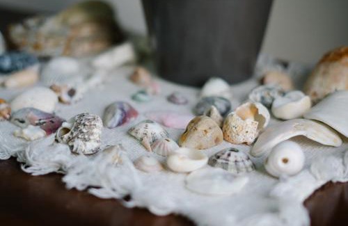 Liberia Apartment | Apartamento Ganesha Liberia