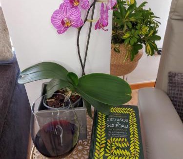 Carretera de Cadiz Apartment | Apartamento Las Floritas