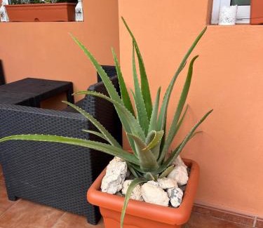 Bahia Calma Apartment | Apartamento Pavla