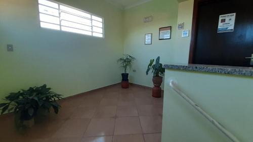 Pallu Apartment | Apartamento São Pedro SP