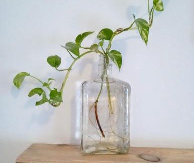 Santa Marina Apartment | Apartamento San Agustín