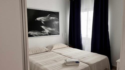 Puerto de Tazacorte Apartment | Apartamento vistas al mar