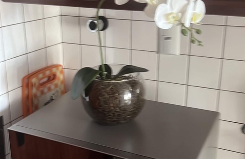 Vitoria Apartment | Apartamento Vista Mar Salvador Bahia - Praia Privativa