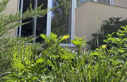 Burgos Apartment | Apartamentos Aljama