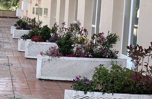 Burgos Apartment | Apartamentos Aljama