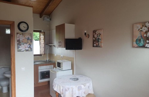 Felechosa Apartment | Apartamentos El Campal