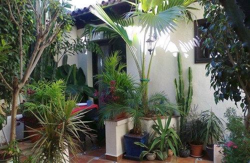 El Guincho Apartment | Apartamentos Monasterio de San Antonio - Rustikales Apartment mit kleiner Terrasse im Innenhof