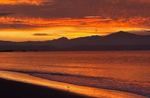 Puntarenas Apartment | Apartamentos Estudio Junto al Mar