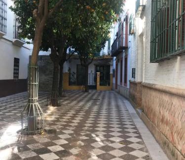Santa Aurelia-Cantabrico-Atlantico-La Romeria Bed & Breakfast | Apartamentos Flamenco B&B