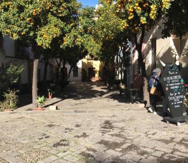 Santa Aurelia-Cantabrico-Atlantico-La Romeria Bed & Breakfast | Apartamentos Flamenco B&B