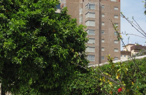 Campanar Apartment | Apartamentos Plaza Picasso