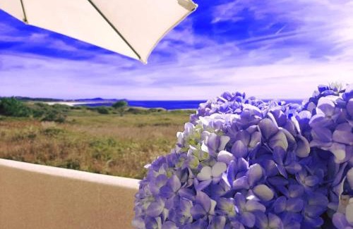 Larino Apartment | Apartamentos Ramona