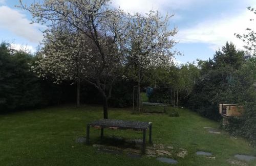 Tamajon Apartment | Apartamentos Rurales Alvado