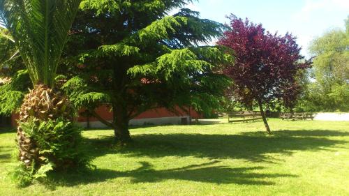 Oles House | Apartamentos Rurales La Cirigüeña