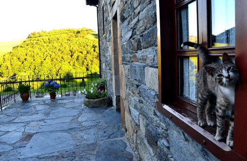 San Martin de Oscos Apartment | Apartamentos Rurales RON