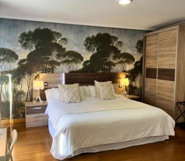 Aranda de Duero Apartment | Apartamentos San Antonio
