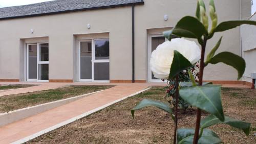 Carucedo Apartment | Apartamentos Turísticos Magencio