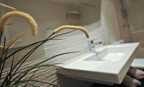 Valjunquera Apartment | Apartamentos Turísticos Mirablanc