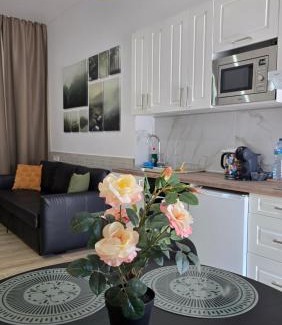Safranar Apartment | Apartamentos Vicent Clavel