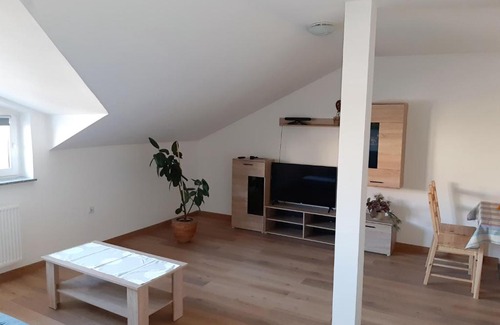 Slesin House | Apartamenty Ślesin
