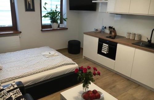 Czestochowa Apartment | Apartamenty AP 1