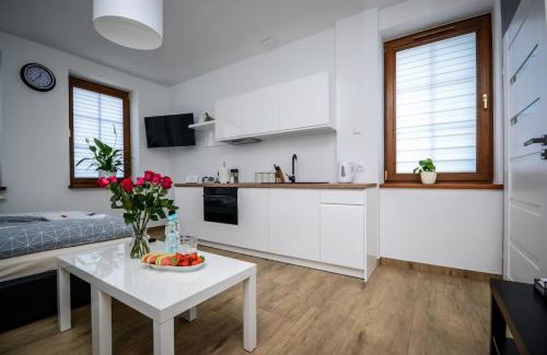 Czestochowa Apartment | Apartamenty AP 1