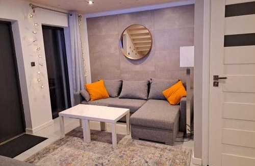 Okuninka Apartment | Apartamenty Borówka