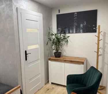 Tomaszow Mazowiecki Apartment | Apartamenty CENTRUM MIASTA Tomaszowa Mazowieckiego Quick Check-in Szybkie zameldowanie