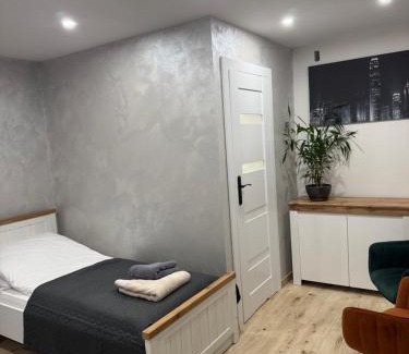 Tomaszow Mazowiecki Apartment | Apartamenty CENTRUM MIASTA Tomaszowa Mazowieckiego Quick Check-in Szybkie zameldowanie