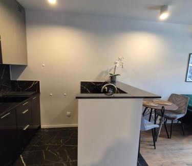Brynow Apartment | Apartamenty Ceglana Park - prywatny parking - piękne osiedle - nowe luksusowe mieszkanie z biurkiem