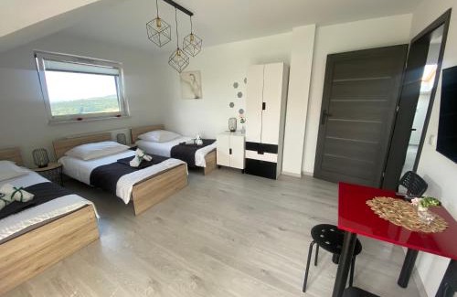 gmina Chełmiec Apartment | Apartamenty Emerald Hills