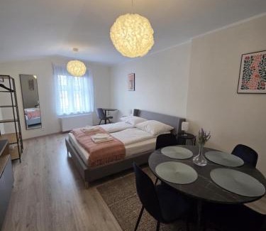 Gniezno Apartment | Apartamenty Emilia 3
