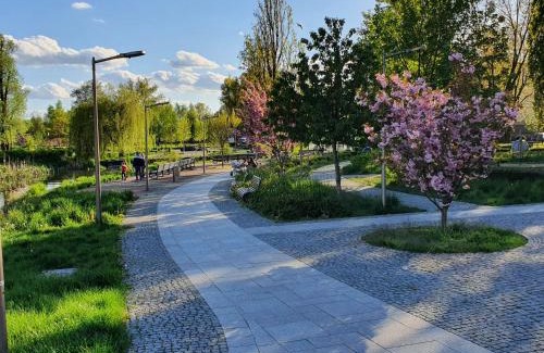Elk Apartment | Apartamenty Kąpielowa Platynowy