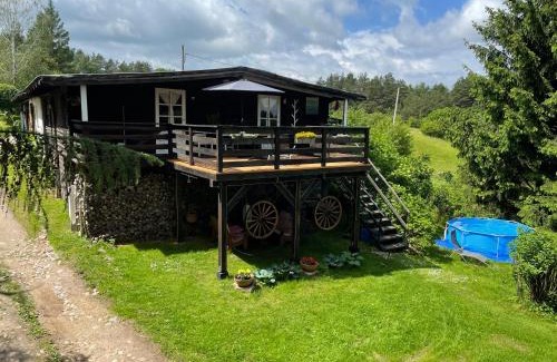 Dabrowno Apartment | apartamenty lajkonik
