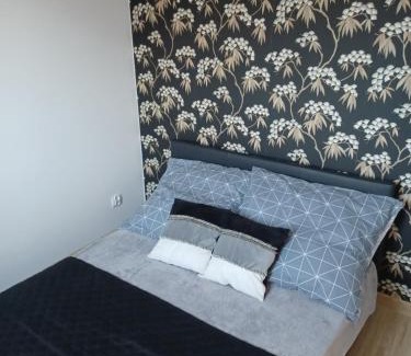 Wicie Apartment | Apartamenty Majka