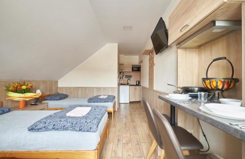 Dzierzoniow Apartment | Apartamenty P7 Dzierżoniów