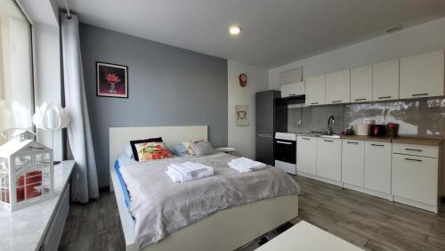 Kwidzyn Apartment | Apartamenty Parkowe nr 5