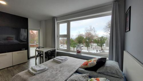 Kwidzyn Apartment | Apartamenty Parkowe nr 5