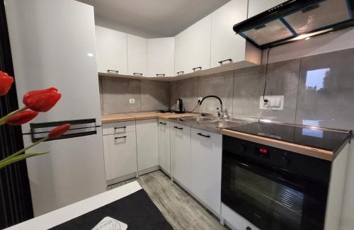 Kwidzyn Apartment | Apartamenty Parkowe nr 7